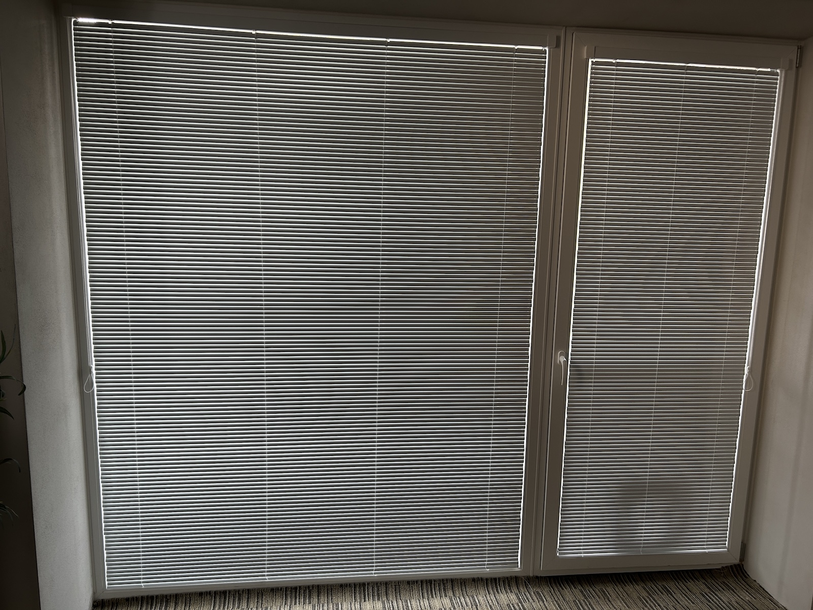 Horizontalni žaluzie