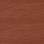 Třešeň amaretto 9947